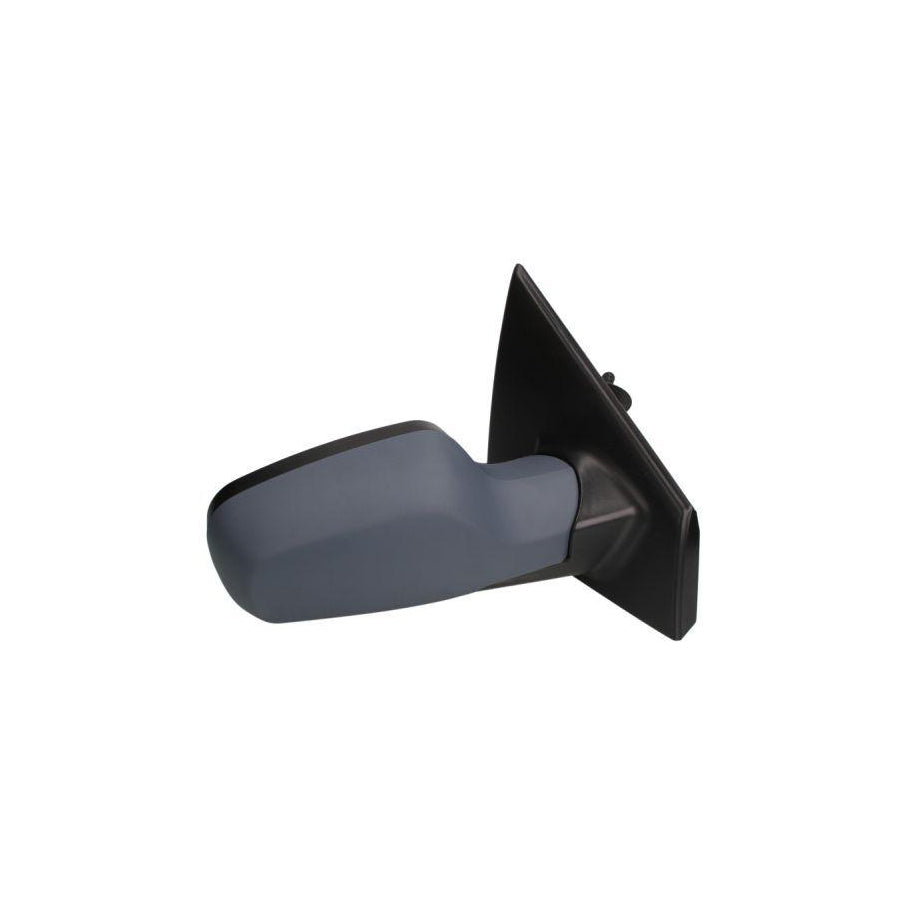 Blic 5402-04-1191175P Wing Mirror For Renault Clio