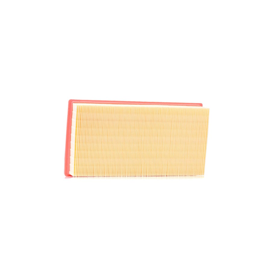 AUTOMEGA 180024210 Air Filter | ML Performance UK Car Parts