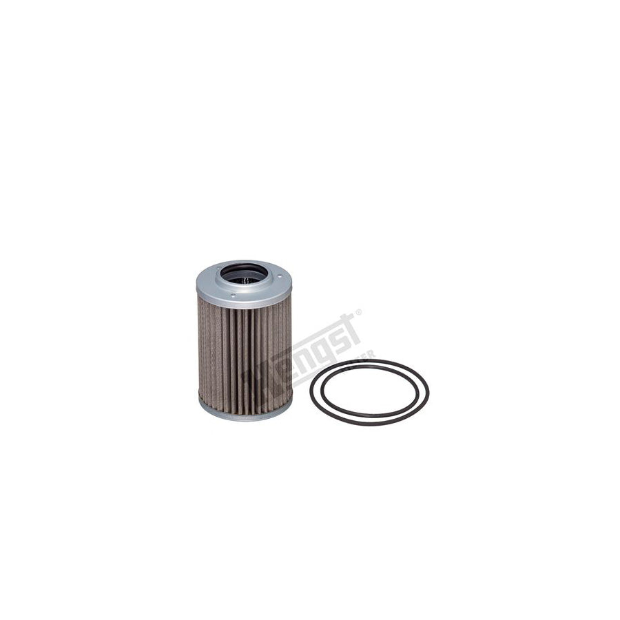 Hengst Filter E39H D131 Oil Filter