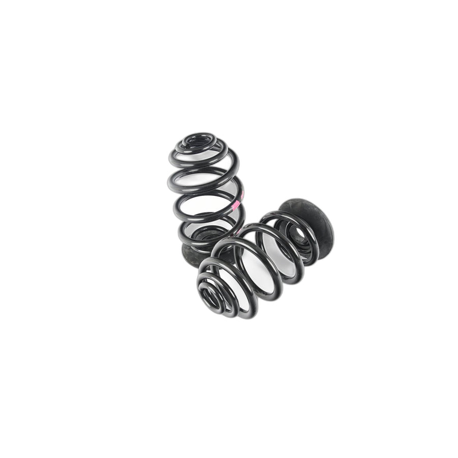 Genuine BMW 33539057349 E30 Set Coil Springs (Inc. 324d, 325e & 325i) | ML Performance UK Car Parts