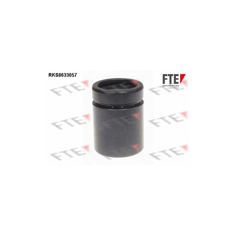 Fte RKS8633057 Piston, Brake Caliper | ML Performance UK Car Parts