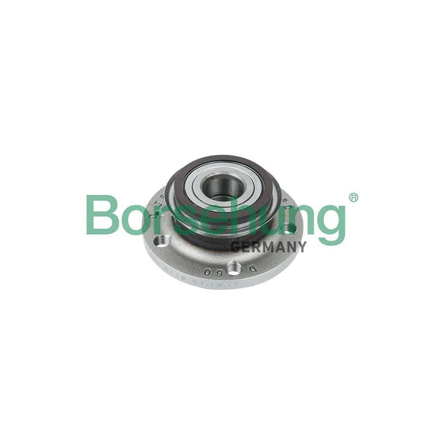 Borsehung B15626 Wheel Bearing Kit