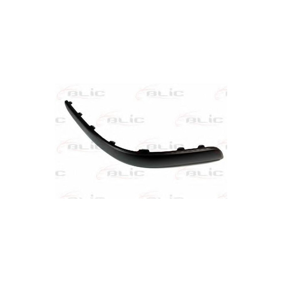 Blic 5703-05-9523971P Bumper Moulding