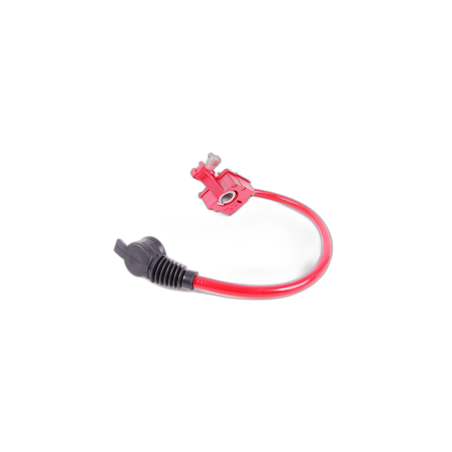 Genuine BMW 61129217036 Battery Cable (Plus Pole) SBK 2.2 (Inc. 520d ed, 535iX & 530d 155kW)