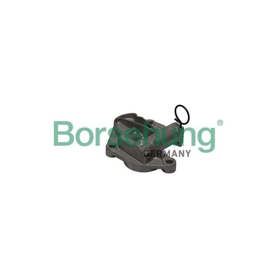 Borsehung B1T003 Timing Chain Tensioner