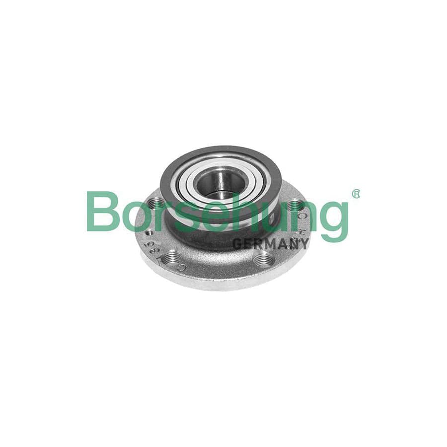 Borsehung B15624 Wheel Bearing Kit