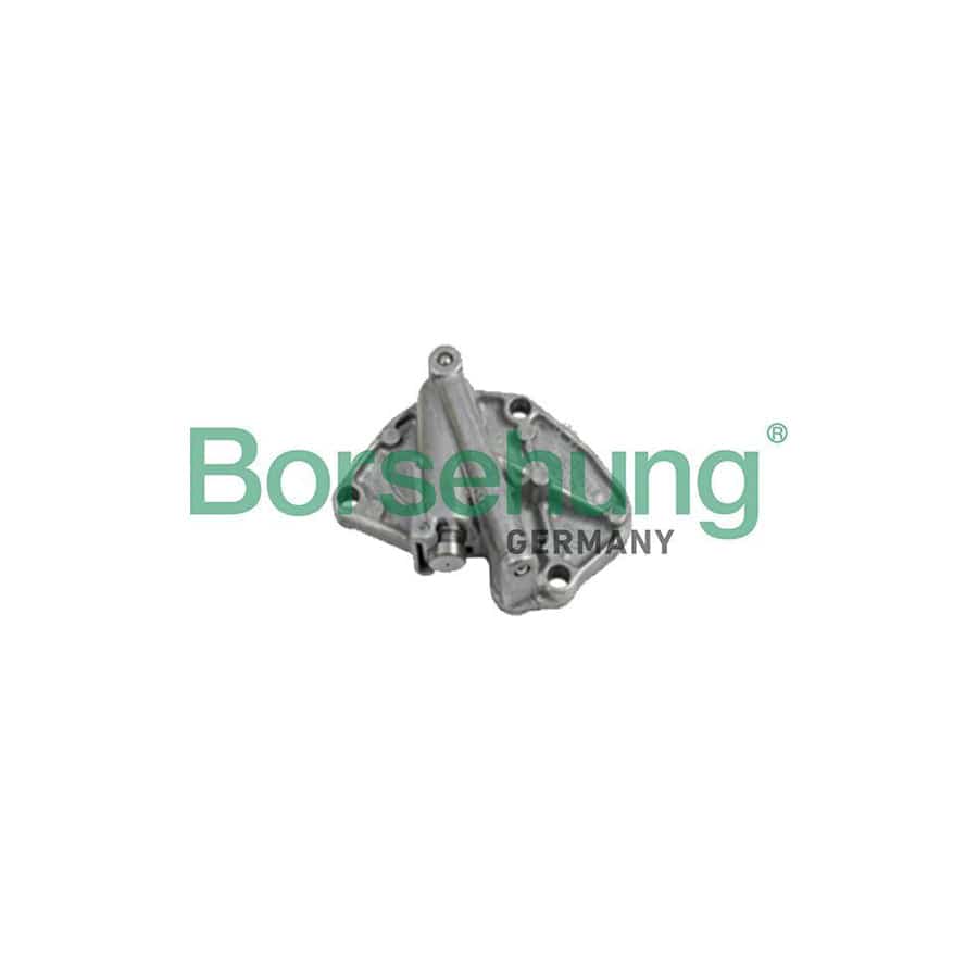 Borsehung B1T001 Timing Chain Tensioner