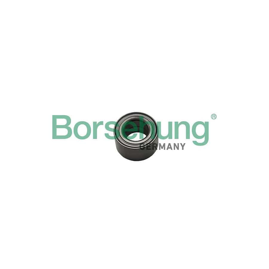 Borsehung B15622 Wheel Bearing