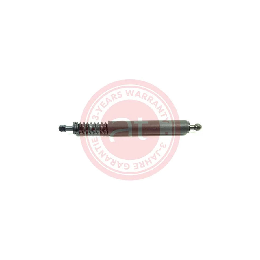 At Autoteile Germany at11923 Tailgate Strut Suitable For Mercedes-Benz R-Class (W251, V251)