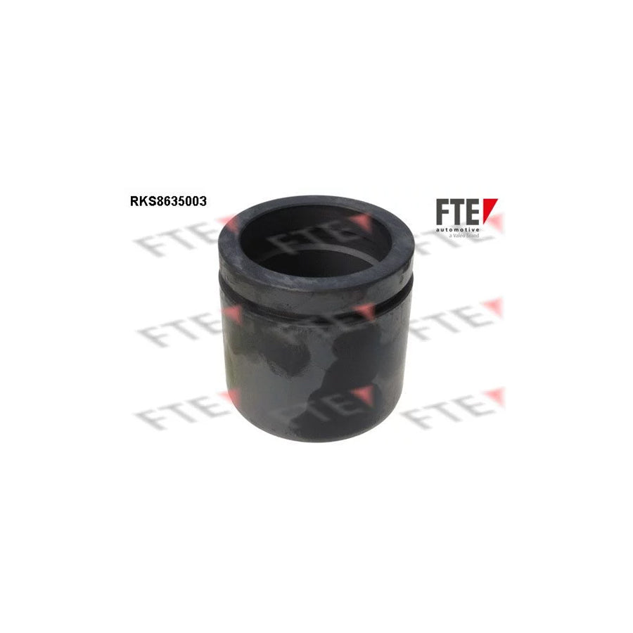 Fte RKS8635003 Piston, Brake Caliper For Kia Clarus | ML Performance UK Car Parts