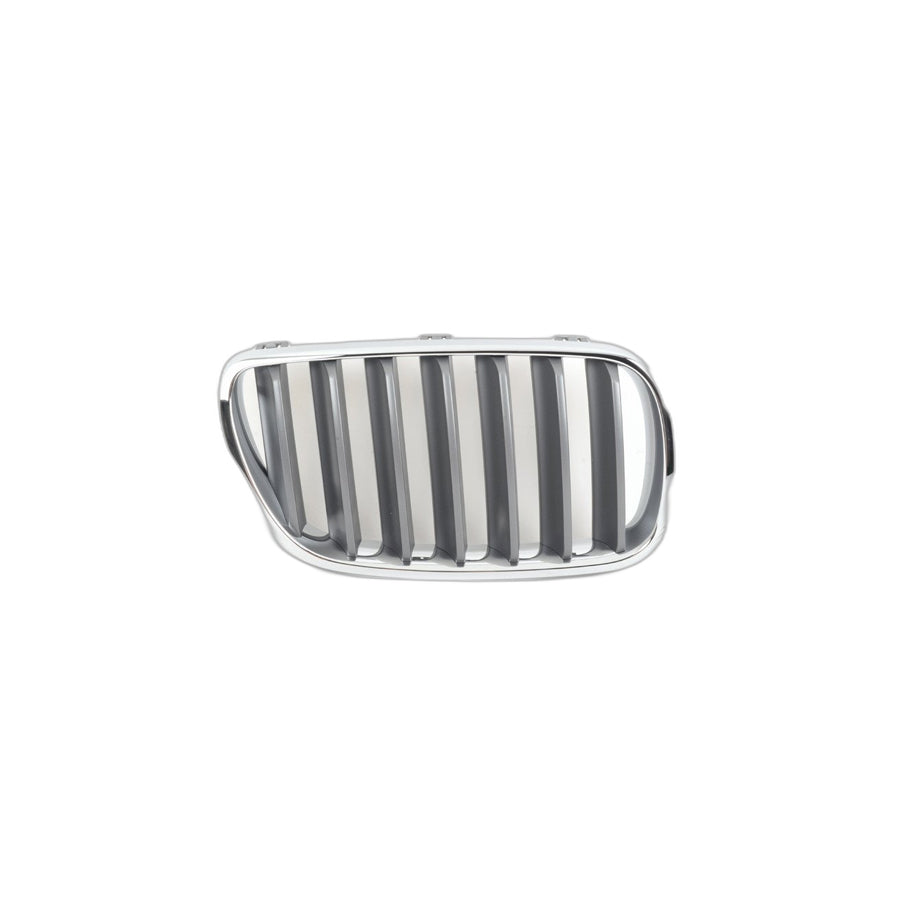 Genuine BMW 51113420092 E83 Grille, Front, Right GRAPHITMETALLIC (Inc. X3 2.5si, X3 3.0i & X3 2.0i) | ML Performance UK Car Parts