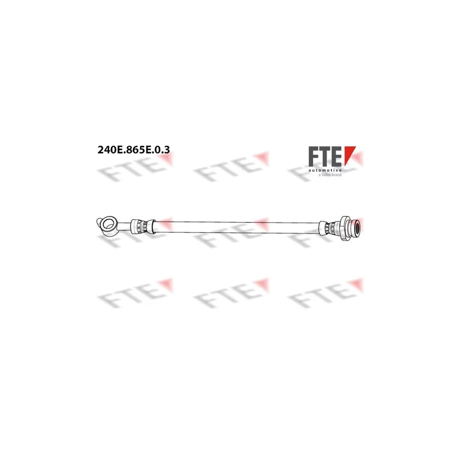 Fte 9240918 Brake Hose | ML Performance UK Car Parts