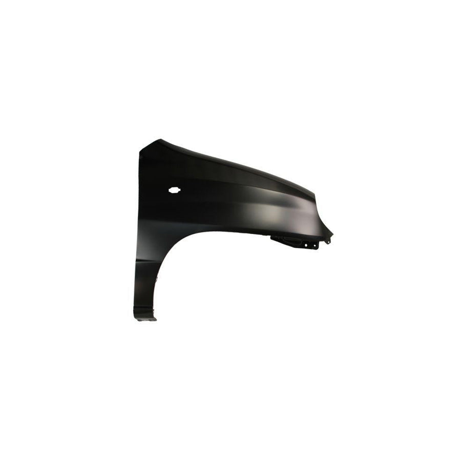 Blic 6504-04-3125312P Wing Fender For Hyundai Amica / Atoz (Mx)