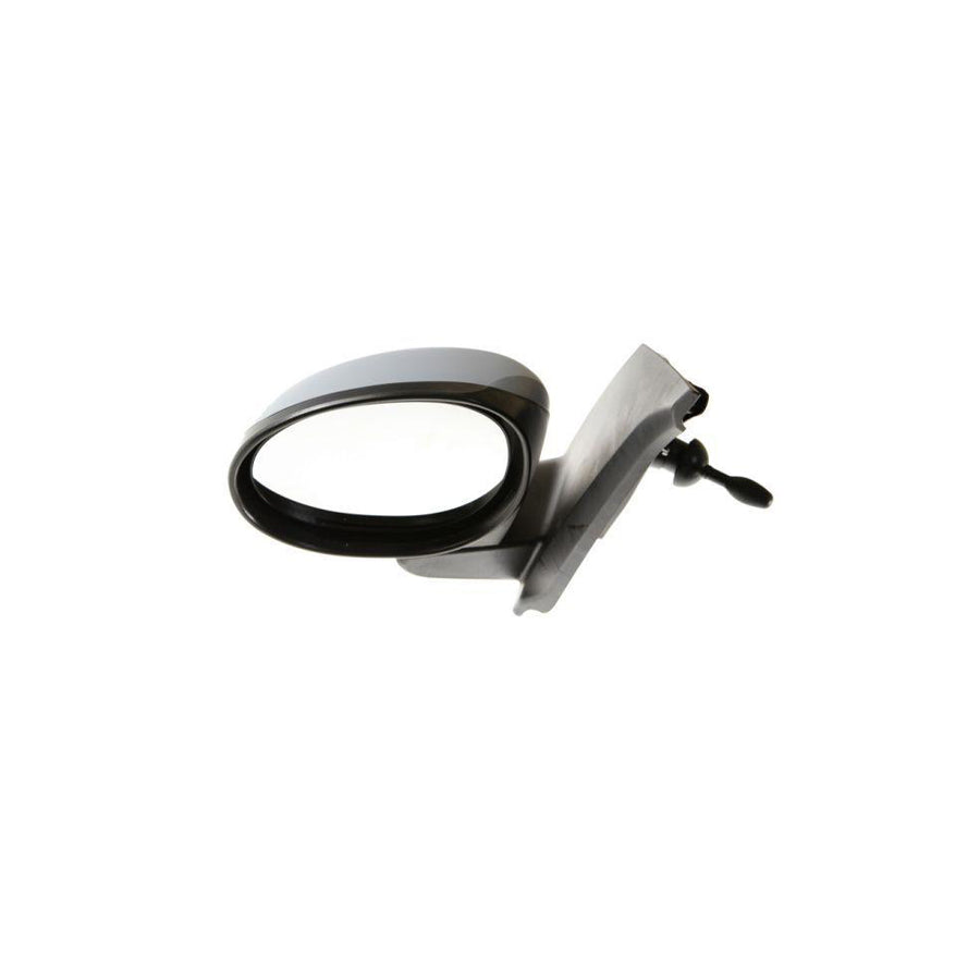 Blic 5402-04-1191857P Wing Mirror