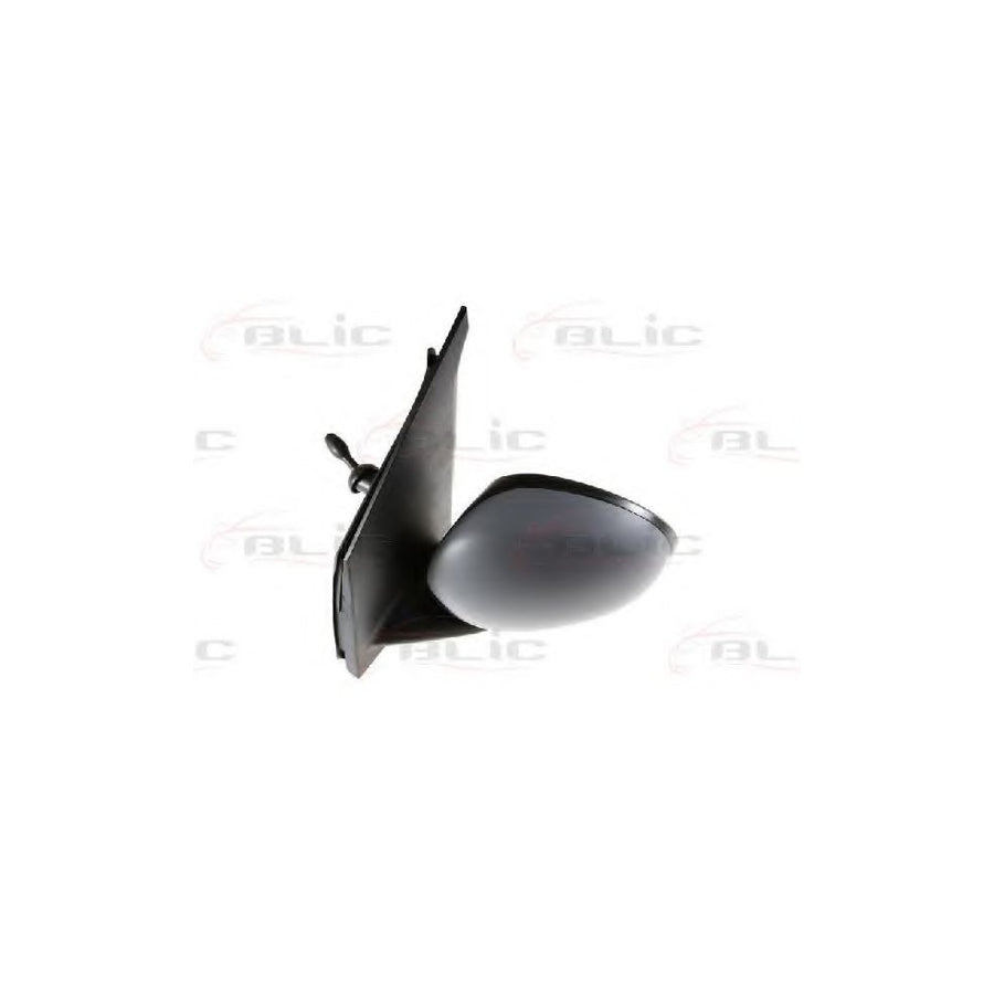 Blic 5402-04-1191857 Wing Mirror