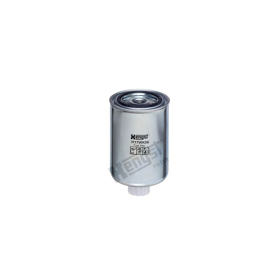 Hengst Filter H17WK06 Fuel Filter