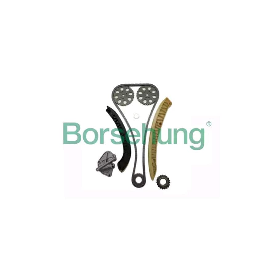 Borsehung B16295 Timing Chain Kit