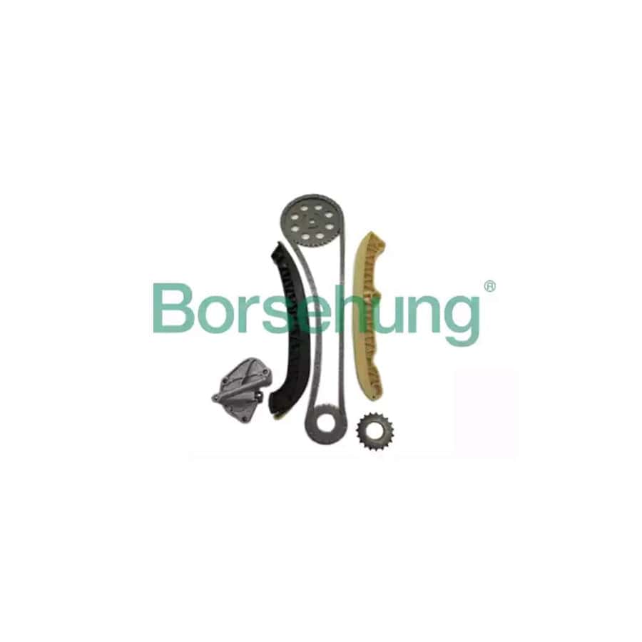 Borsehung B16294 Timing Chain Kit