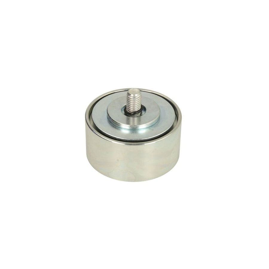 Bta B05-Ag-342 Tensioner Pulley