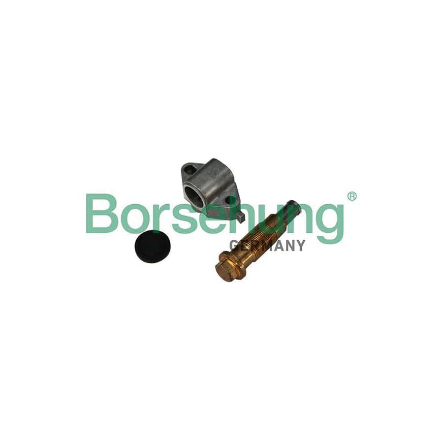 Borsehung B1T024 Timing Chain Tensioner