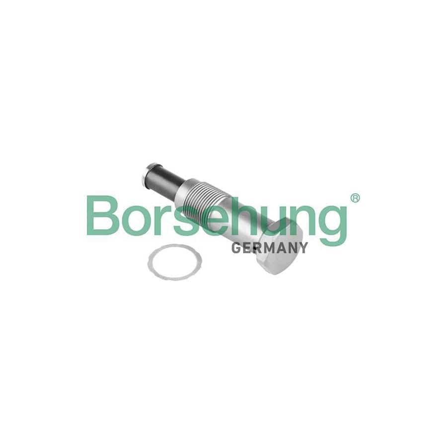 Borsehung B1T022 Timing Chain Tensioner