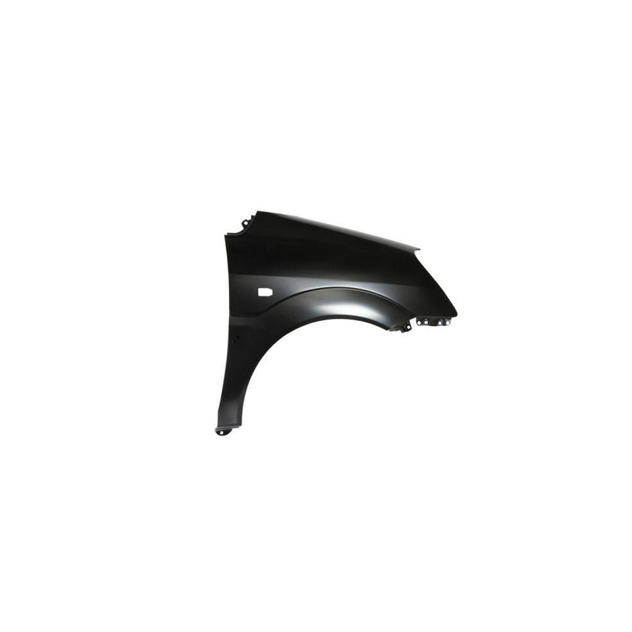 Blic 6504-04-3132314P Wing Fender For Hyundai Matrix (Fc)