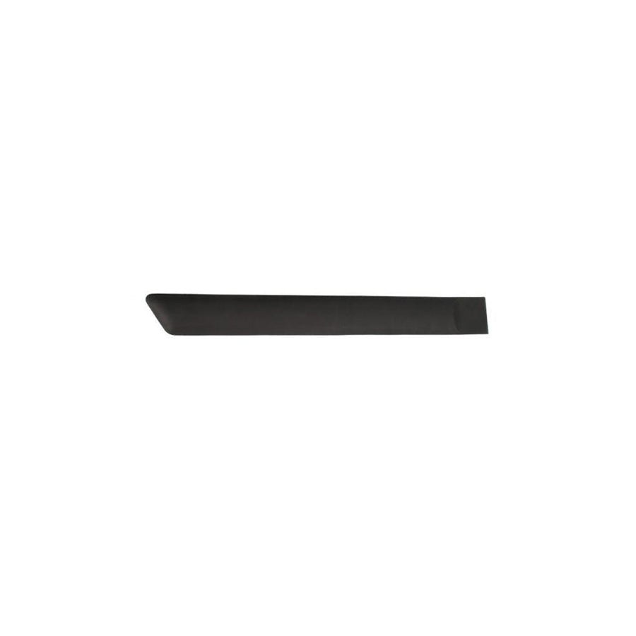 Blic 5703-04-2564474Cp Door Molding For Ford Fiesta