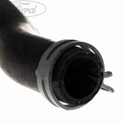 GENUINE FORD 1706843 COOLING SYSTEM HOSE | ML Performance UK