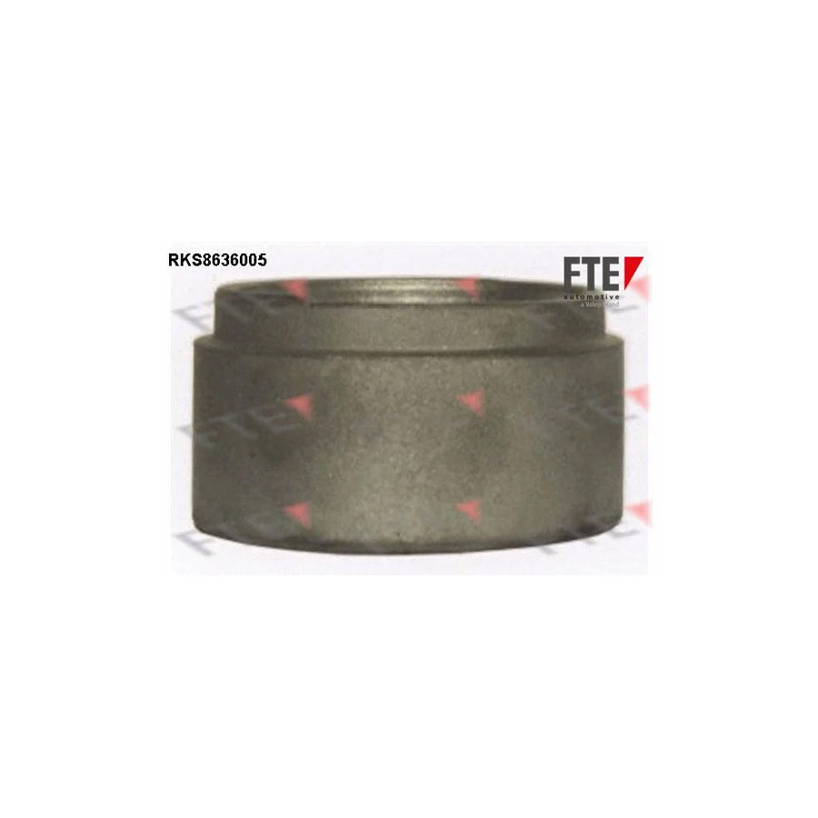 Fte RKS8636005 Piston, Brake Caliper | ML Performance UK Car Parts