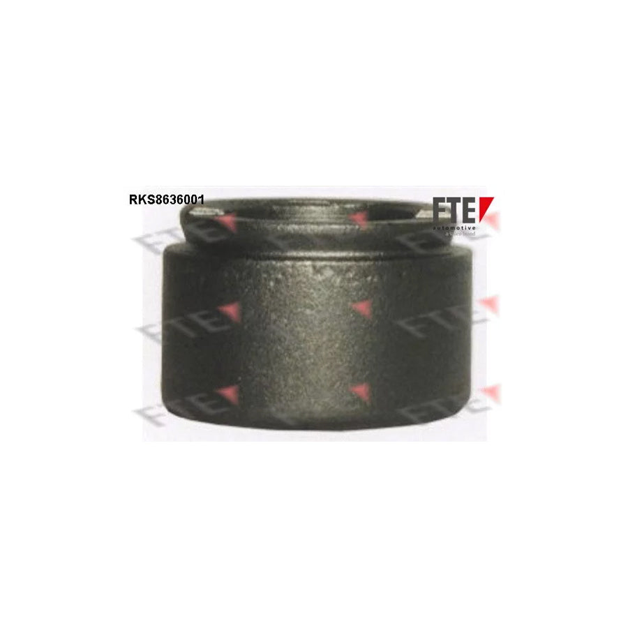 Fte RKS8636001 Piston, Brake Caliper | ML Performance UK Car Parts