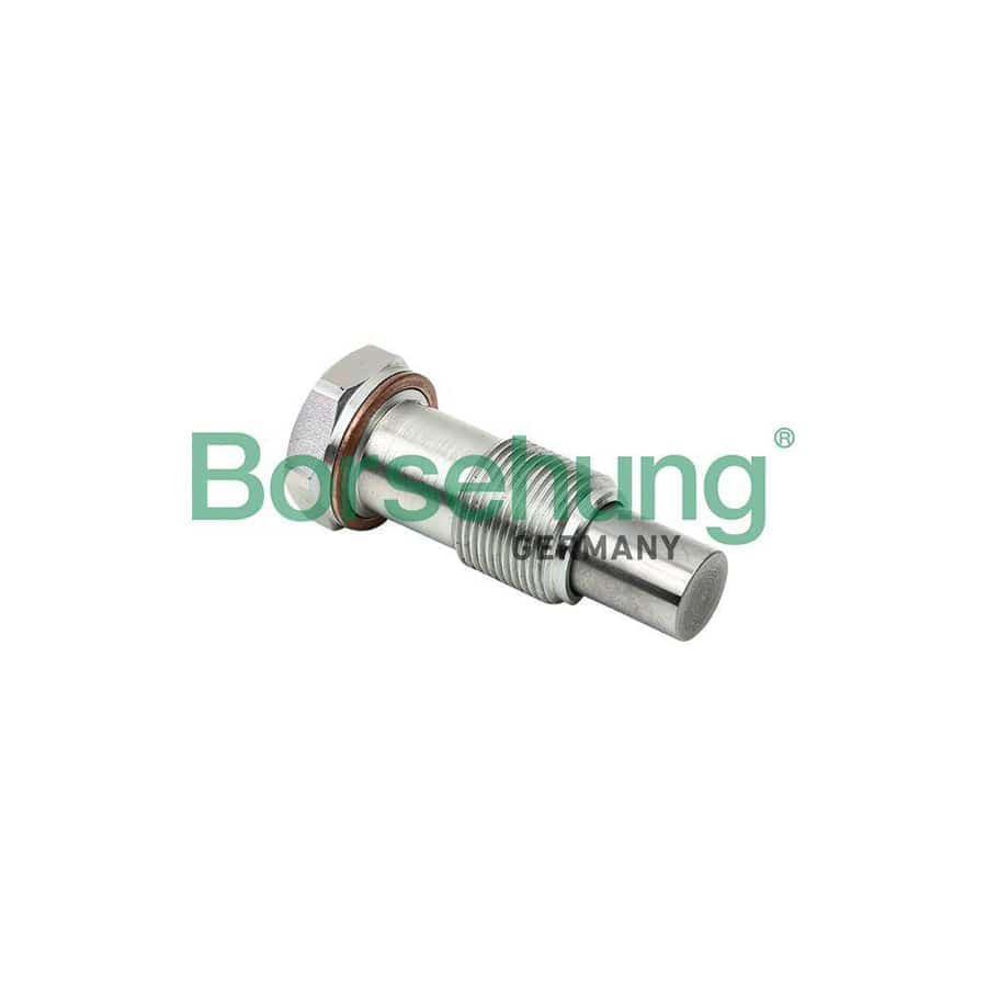 Borsehung B1T014 Timing Chain Tensioner