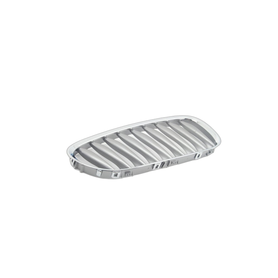 Genuine BMW 51117117758 E85 E86 Grille Right GRAPHIT (Inc. Z4) | ML Performance UK Car Parts