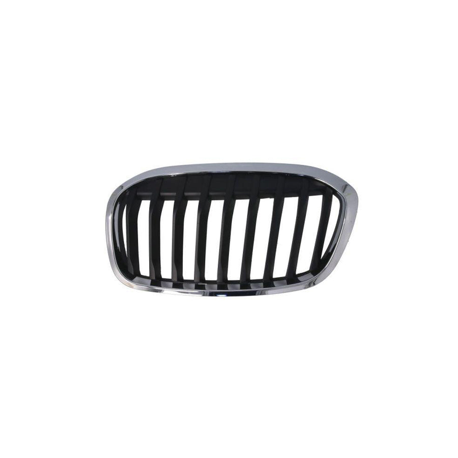 Blic 6502-07-0071993P Radiator Grille For BMW 2 Series