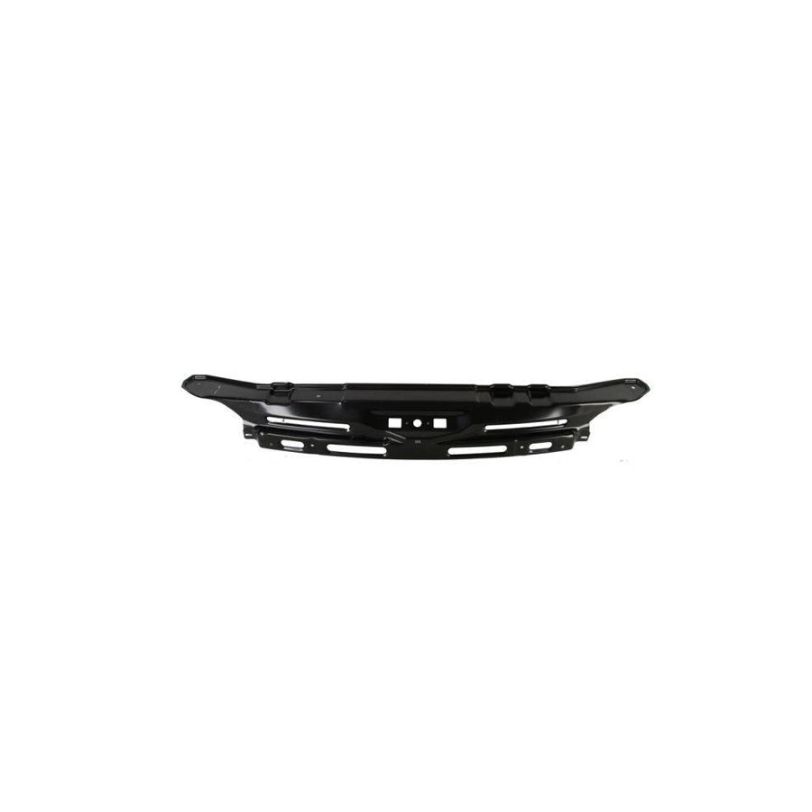 Blic 6502-08-3546201P Front Cowling Suitable For Mercedes-Benz Sprinter