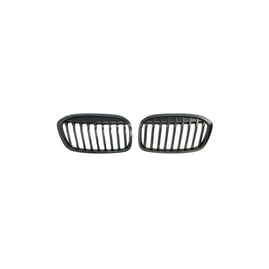 Blic 6502-07-0071990P Radiator Grille For BMW 2 Series