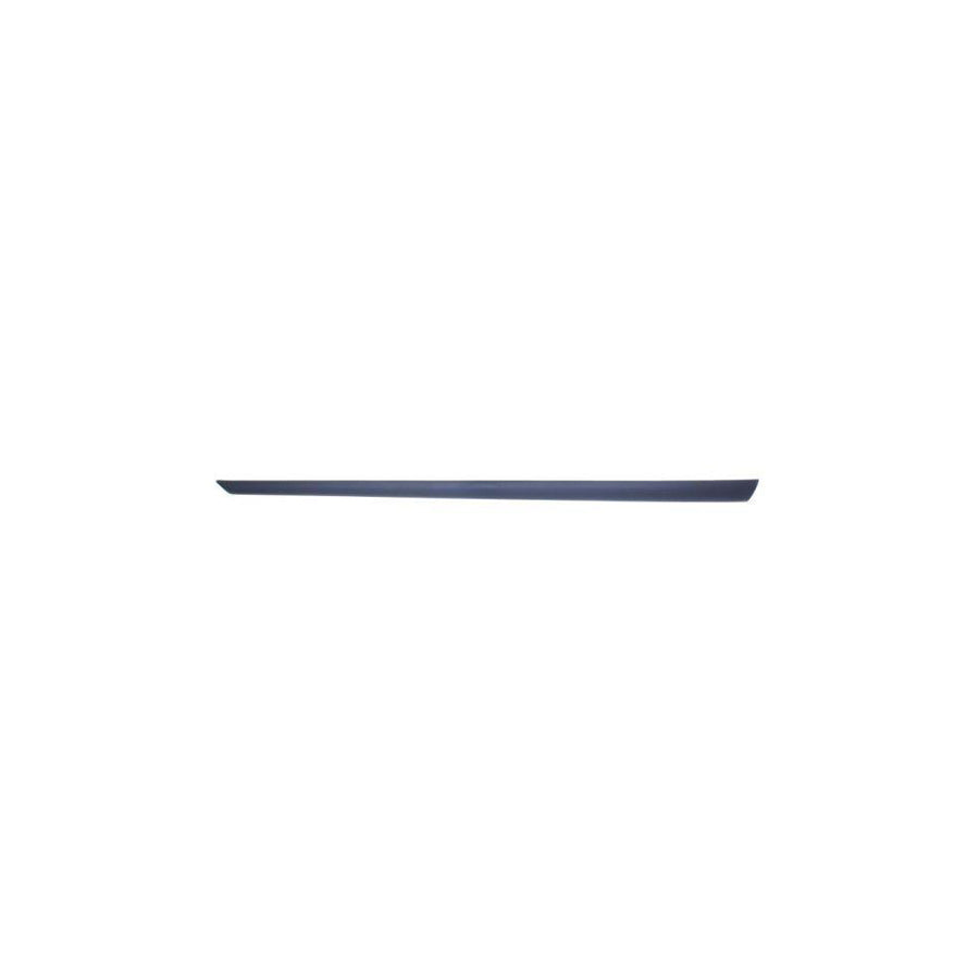 Blic 5703-04-2564571Pp Door Molding For Ford Fiesta