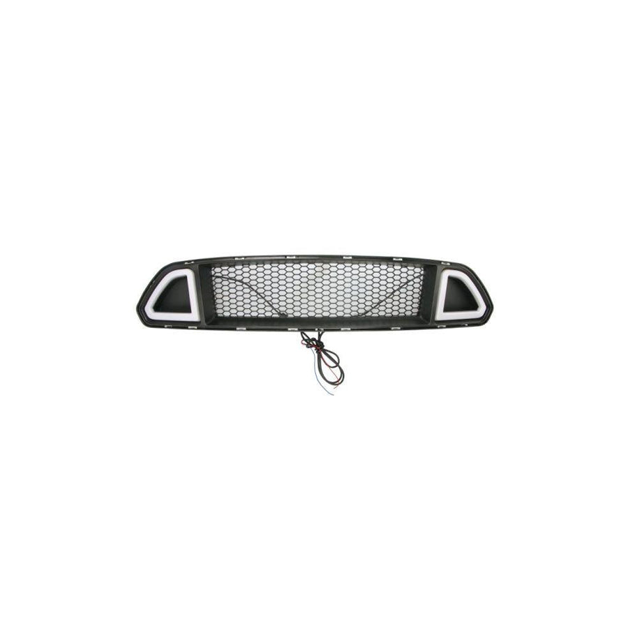 Blic 6502-07-2586991Kp Radiator Grille