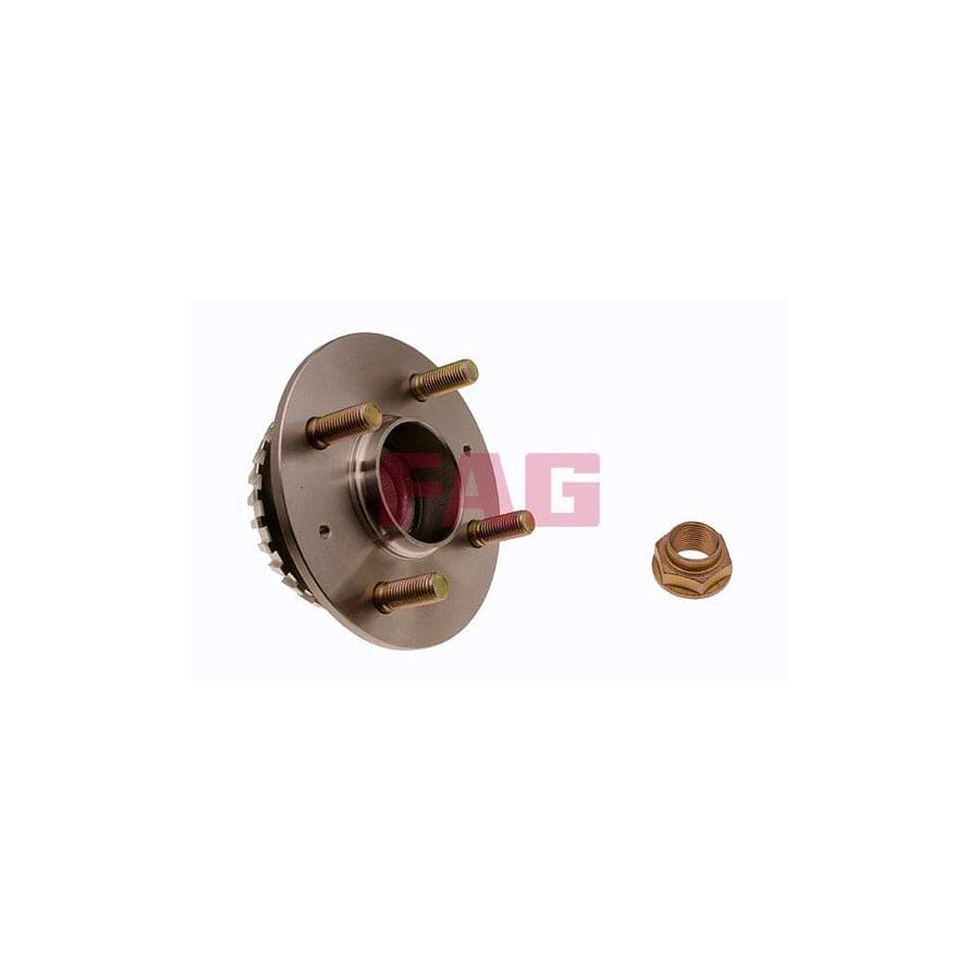 FAG 713 6173 90 Wheel Bearing Kit