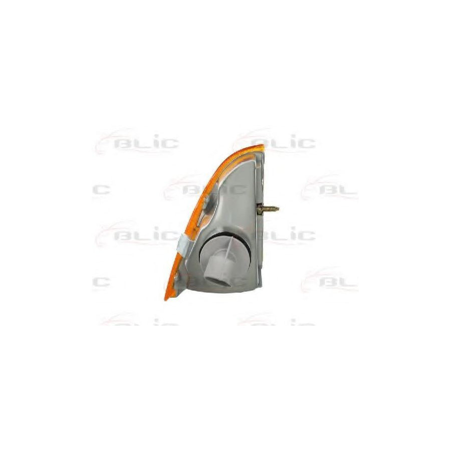 Blic 5403-21-008101P Side Indicator For Citroen Ax