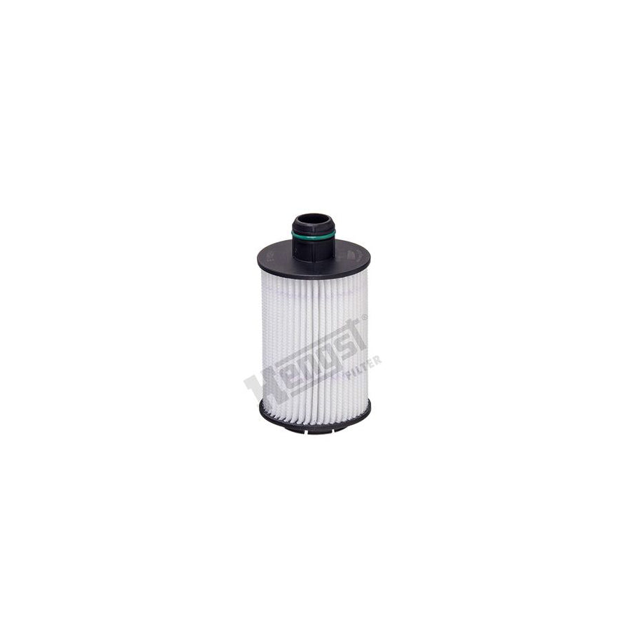 Hengst Filter E162H D249 Oil Filter