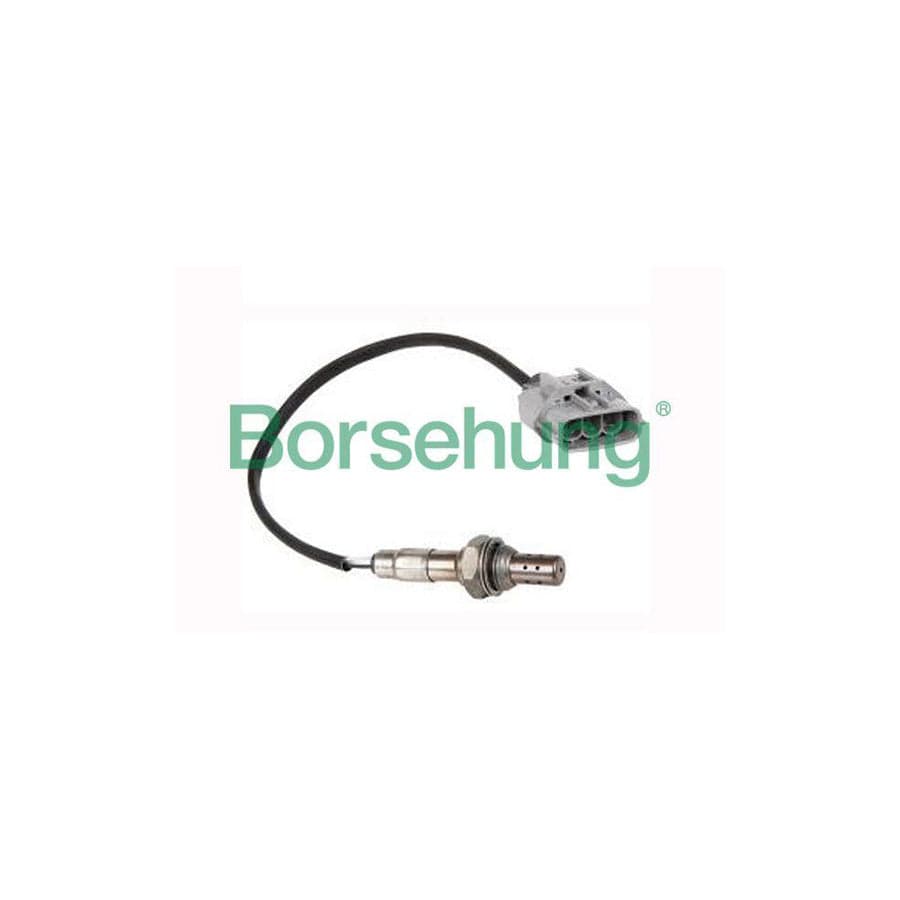 Borsehung B16928 Lambda Sensor