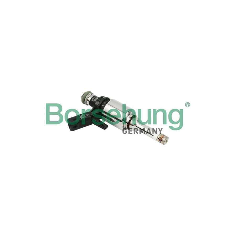 Borsehung B16924 Injector