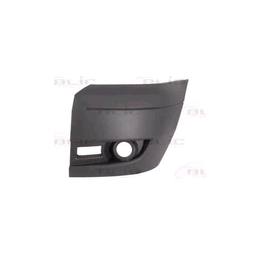 Blic 5510-00-2510915Q Bumper