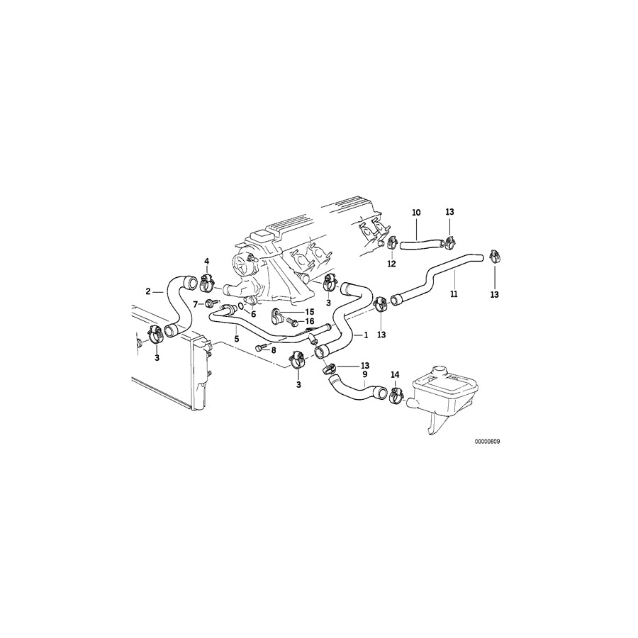 Genuine BMW 11532244072 E36 Water Hose (Inc. 325td) | ML Performance UK Car Parts