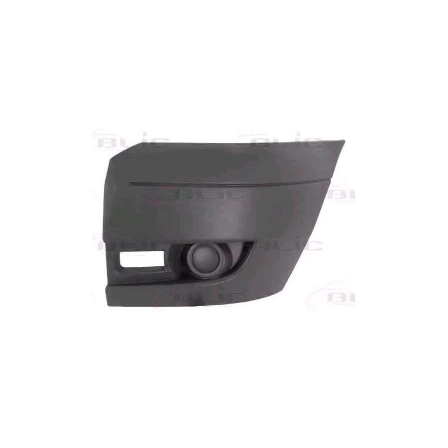 Blic 5510-00-2510913Q Bumper