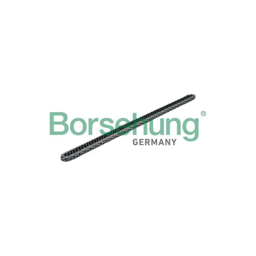 Borsehung B16301 Timing Chain