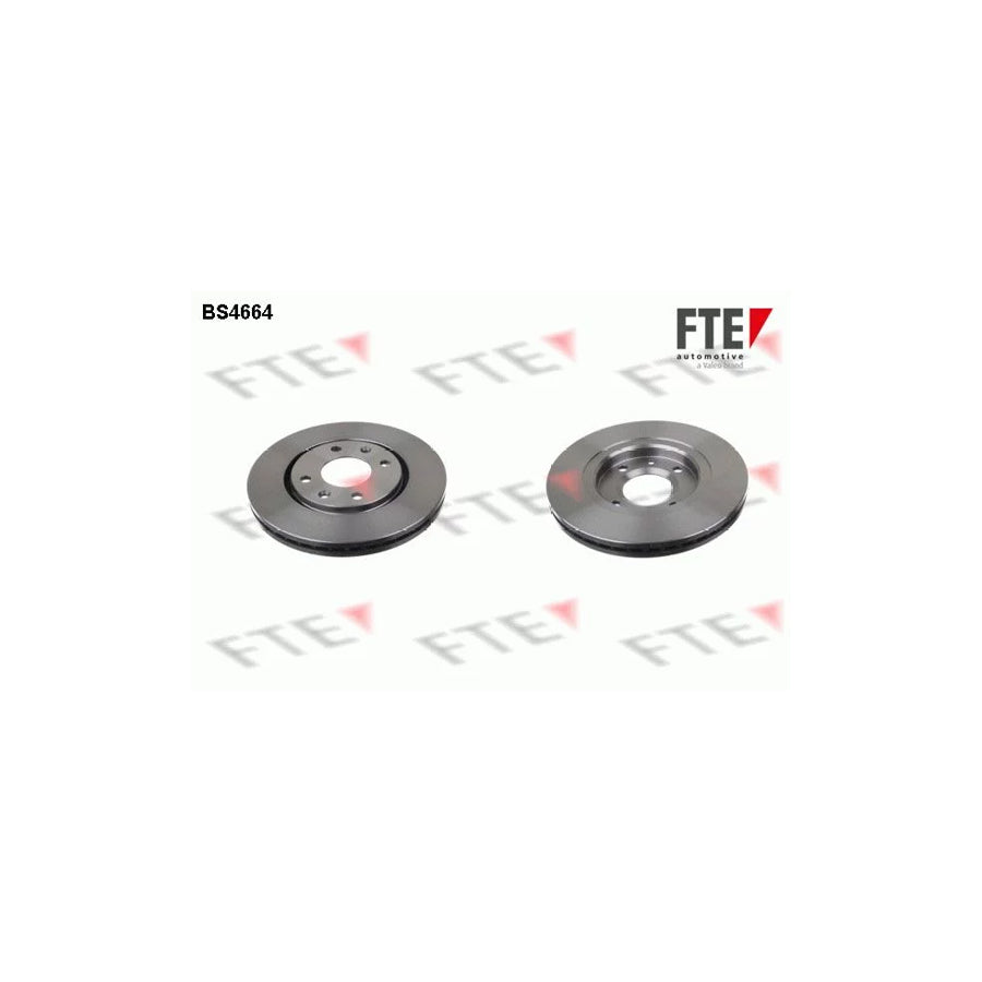 Fte BS4664 Brake Disc For Peugeot 406 | ML Performance UK Car Parts