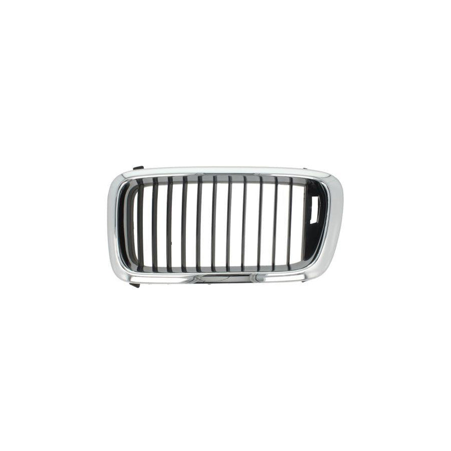 Blic 6502-07-0075991P Radiator Grille For BMW 7 (E38)