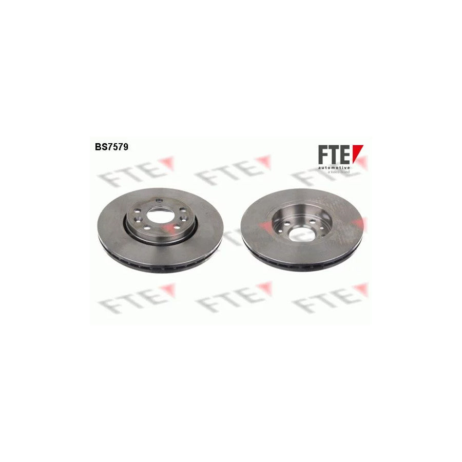 Fte 9072502 Brake Disc For Renault Megane | ML Performance UK Car Parts