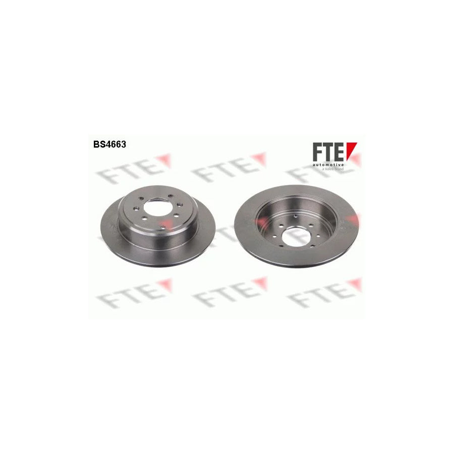 Fte BS4663 Brake Disc For Peugeot 406 | ML Performance UK Car Parts